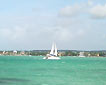 Katamaraani