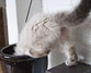 Joku j&auml;nn&auml; ruukku l&ouml;ytyi