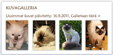 Galleriaan >